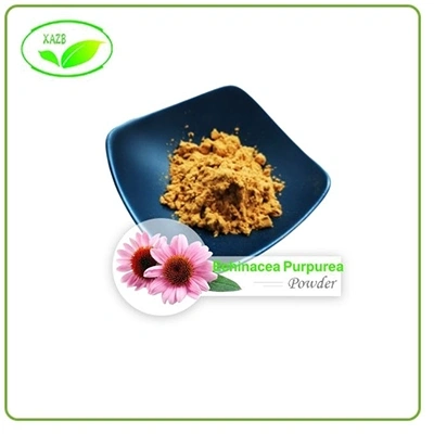 Echinacea Purpurea Root Extract